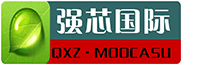 強芯國際集團logo